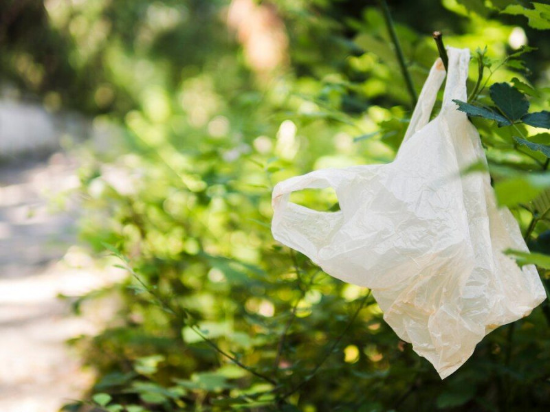 Konsumenci zużywają więcej foliówek w sklepach